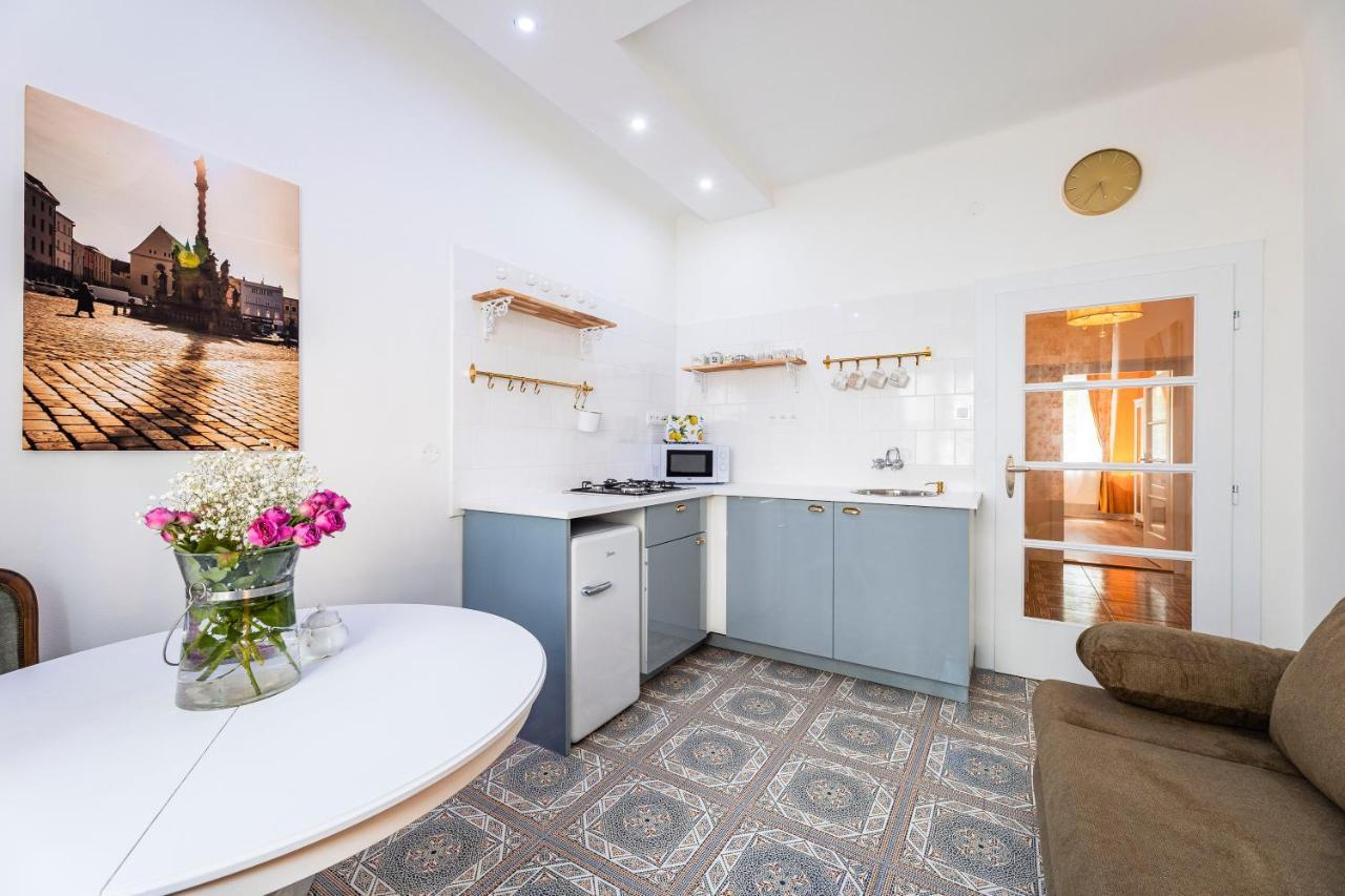 Silvie Apartments - Masaryk Dolni أولوموك المظهر الخارجي الصورة